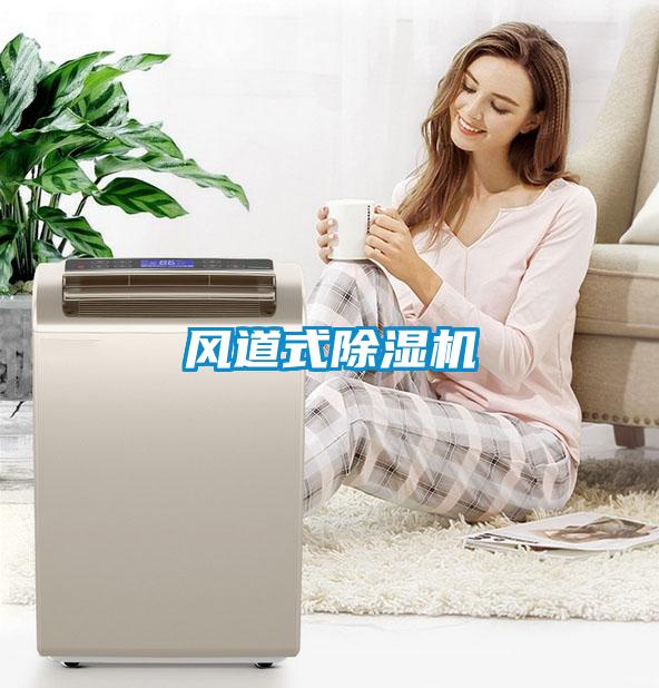 風(fēng)道式除濕機(jī)