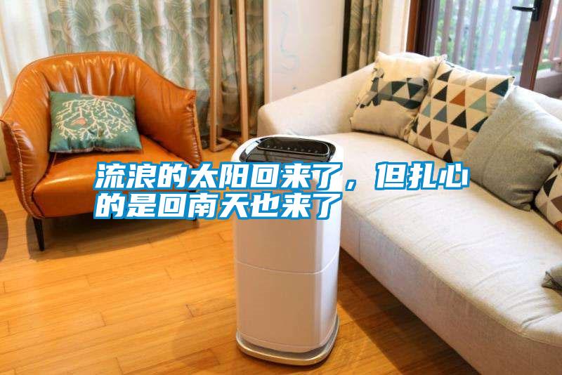 流浪的太陽回來了，但扎心的是回南天也來了