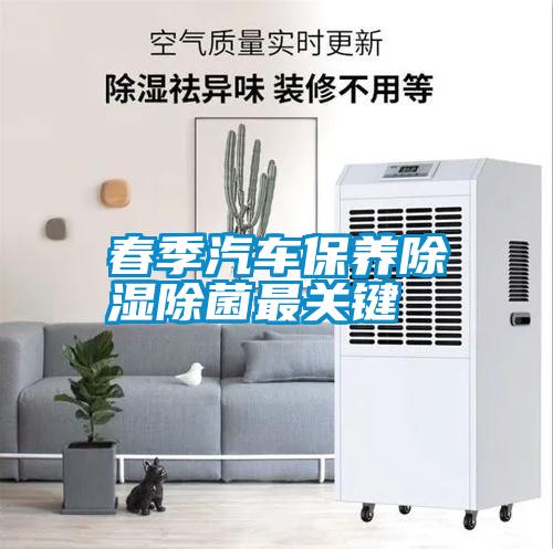 春季汽車(chē)保養(yǎng)除濕除菌最關(guān)鍵