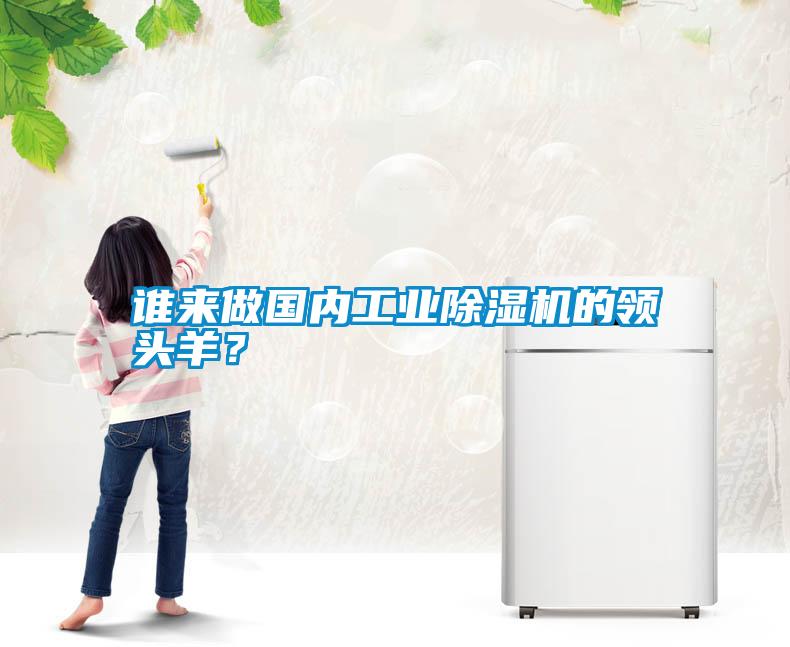 誰來做國(guó)內(nèi)工業(yè)除濕機(jī)的領(lǐng)頭羊？