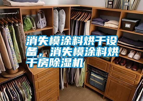 消失模涂料烘干設備，消失模涂料烘干房除濕機