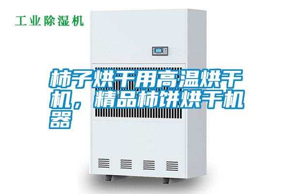 柿子烘干用高溫烘干機(jī)，精品柿餅烘干機(jī)器