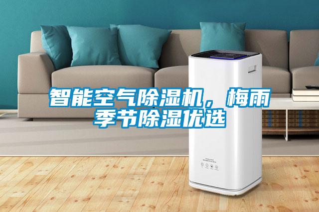 智能空氣除濕機，梅雨季節(jié)除濕優(yōu)選