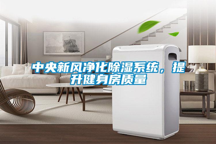 中央新風凈化除濕系統(tǒng)，提升健身房質量