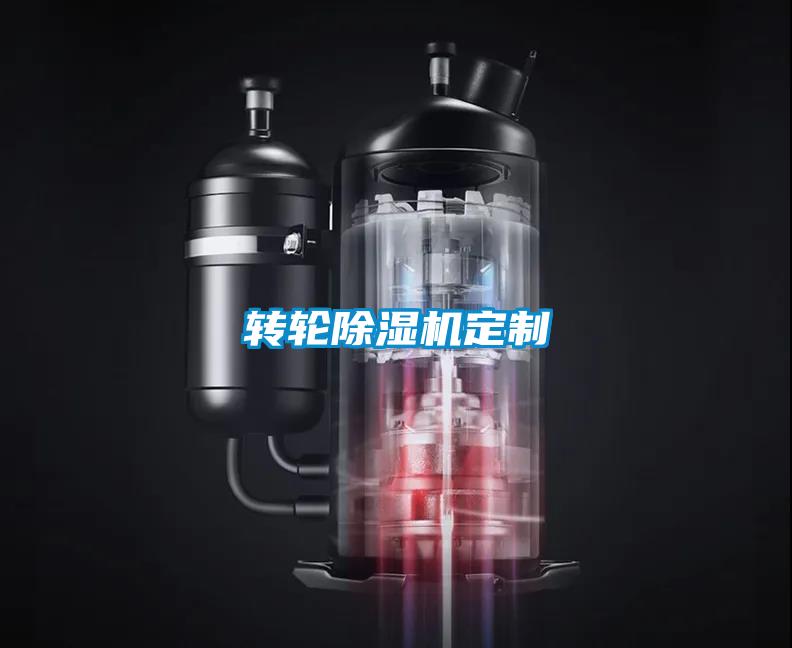 轉(zhuǎn)輪除濕機定制
