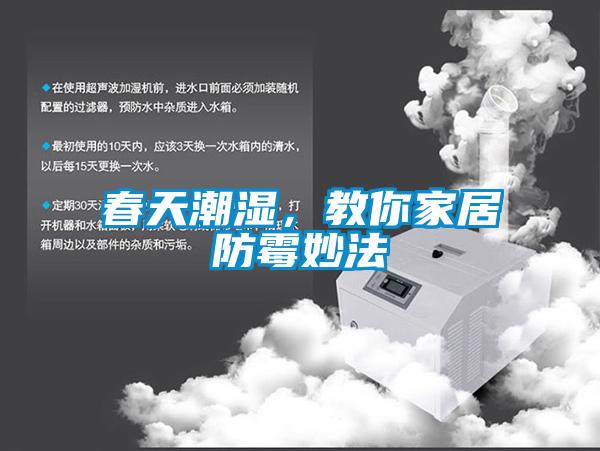春天潮濕，教你家居防霉妙法