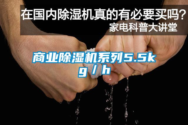 商業(yè)除濕機系列5.5kg／h