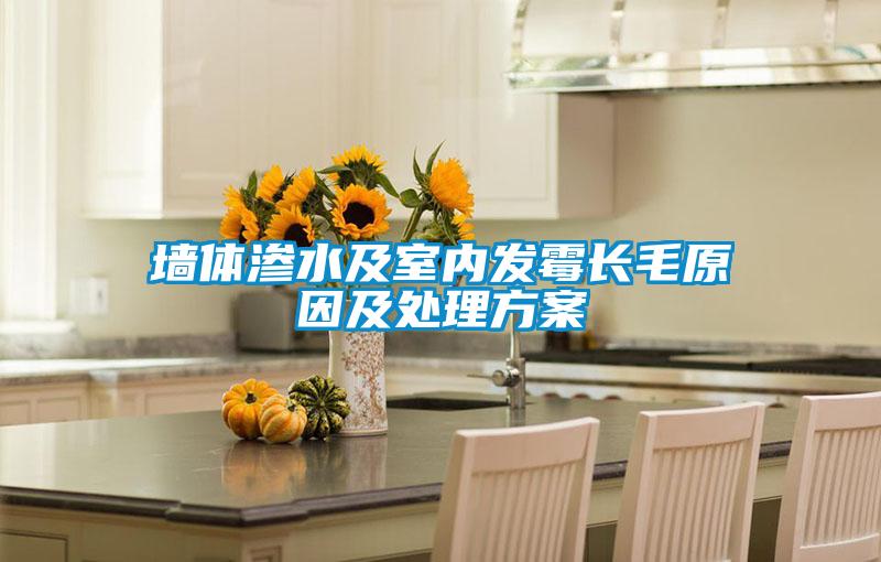 墻體滲水及室內發(fā)霉長毛原因及處理方案