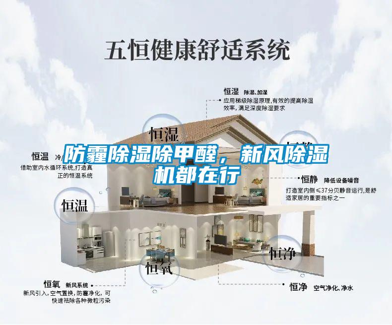 防霾除濕除甲醛，新風(fēng)除濕機(jī)都在行