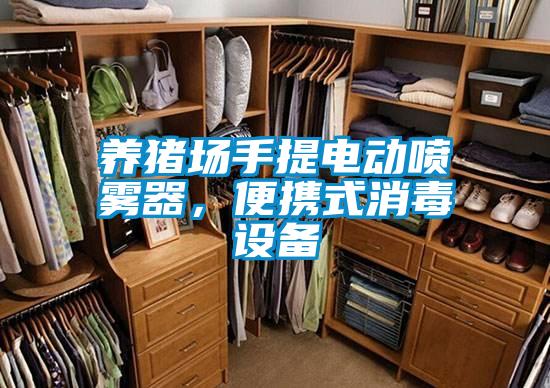 養(yǎng)豬場手提電動噴霧器，便攜式消毒設(shè)備