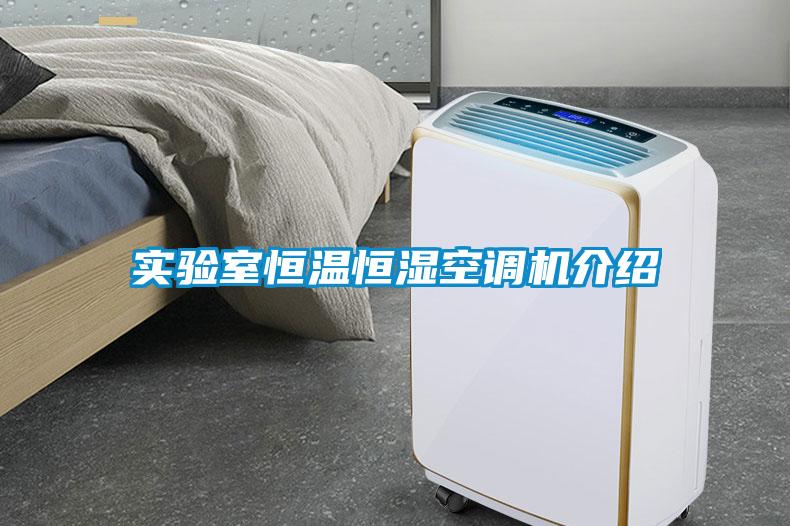 實驗室恒溫恒濕空調(diào)機(jī)介紹