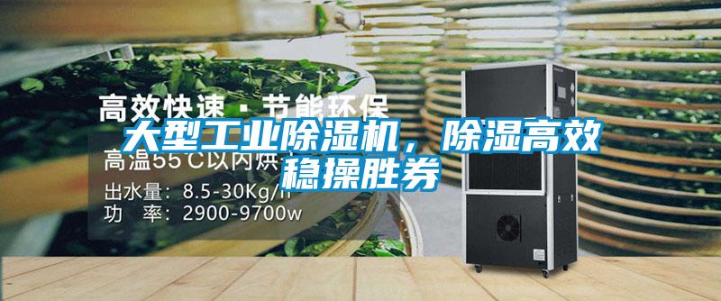 大型工業(yè)除濕機，除濕高效穩(wěn)操勝券