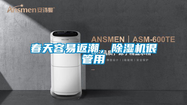 春天容易返潮，除濕機很管用