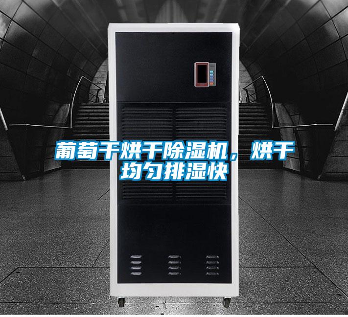 葡萄干烘干除濕機，烘干均勻排濕快