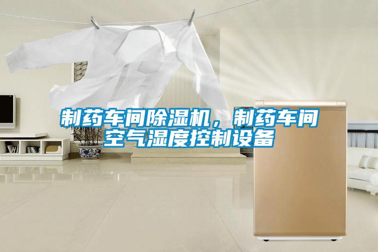 制藥車間除濕機(jī)，制藥車間空氣濕度控制設(shè)備