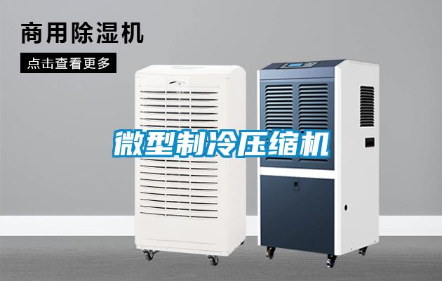 微型制冷壓縮機(jī)
