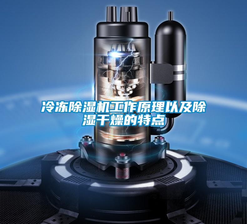 冷凍除濕機(jī)工作原理以及除濕干燥的特點(diǎn)
