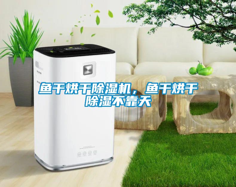 魚干烘干除濕機(jī)，魚干烘干除濕不靠天