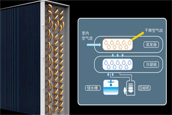 工業(yè)除濕機突破常規(guī)冷凍除濕機技術(shù)瓶頸