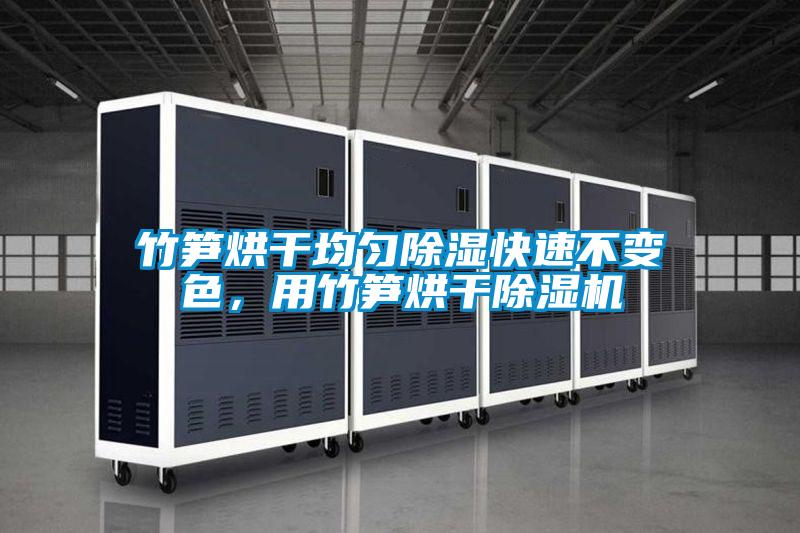 竹筍烘干均勻除濕快速不變色，用竹筍烘干除濕機(jī)