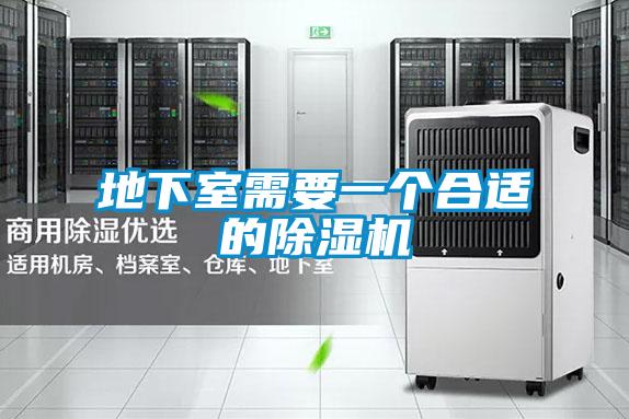 地下室需要一個合適的除濕機(jī)