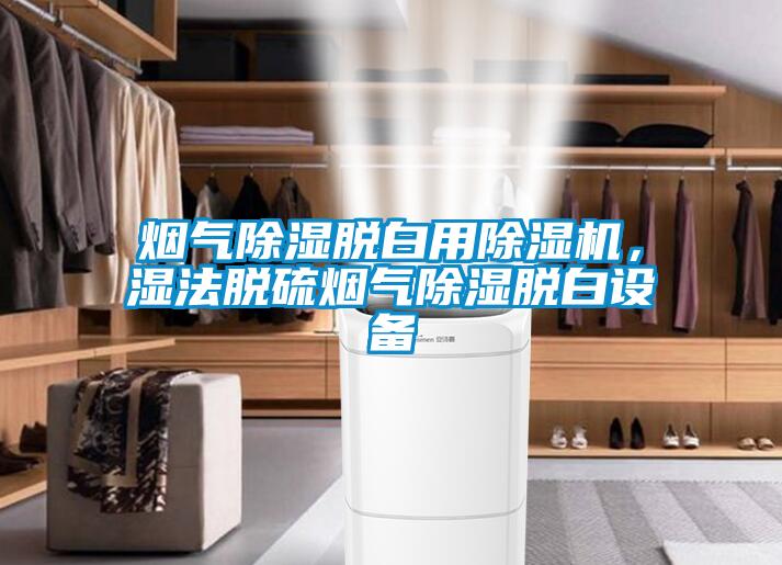 煙氣除濕脫白用除濕機，濕法脫硫煙氣除濕脫白設(shè)備