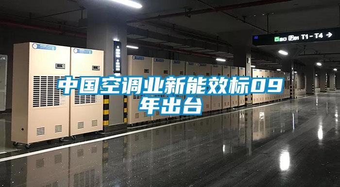 中國(guó)空調(diào)業(yè)新能效標(biāo)09年出臺(tái)