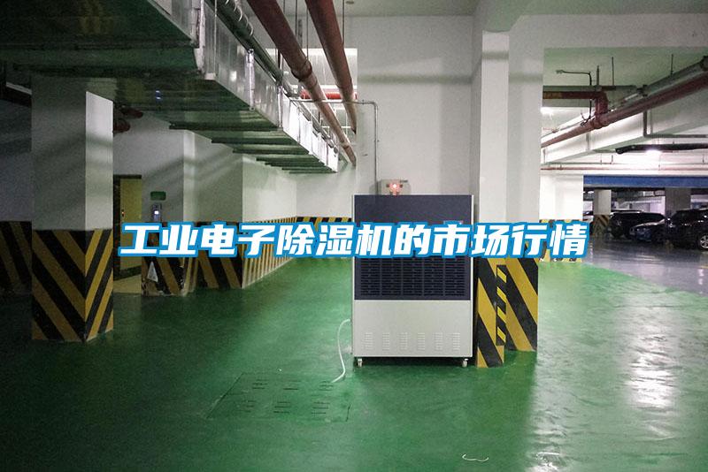 工業(yè)電子除濕機的市場行情