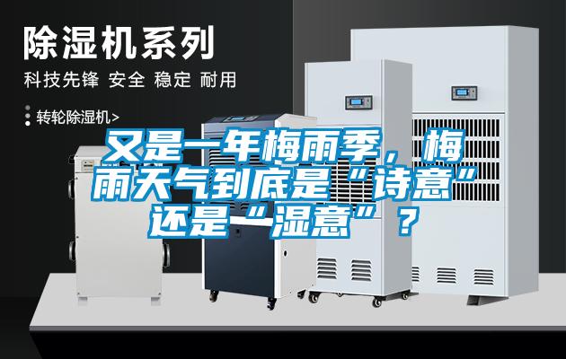 又是一年梅雨季，梅雨天氣到底是“詩(shī)意”還是“濕意”？