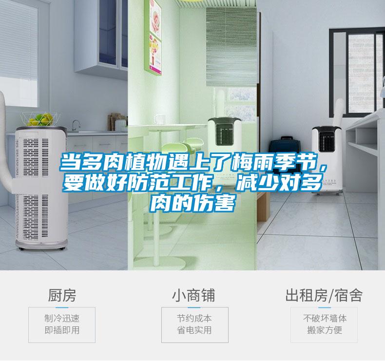 當(dāng)多肉植物遇上了梅雨季節(jié)，要做好防范工作，減少對多肉的傷害