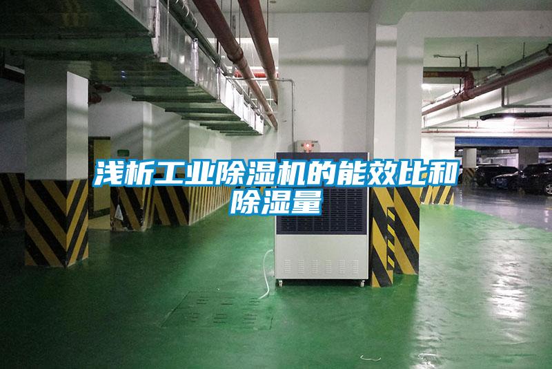 淺析工業(yè)除濕機(jī)的能效比和除濕量