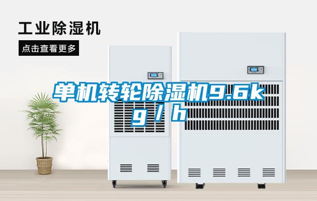單機轉(zhuǎn)輪除濕機9.6kg／h