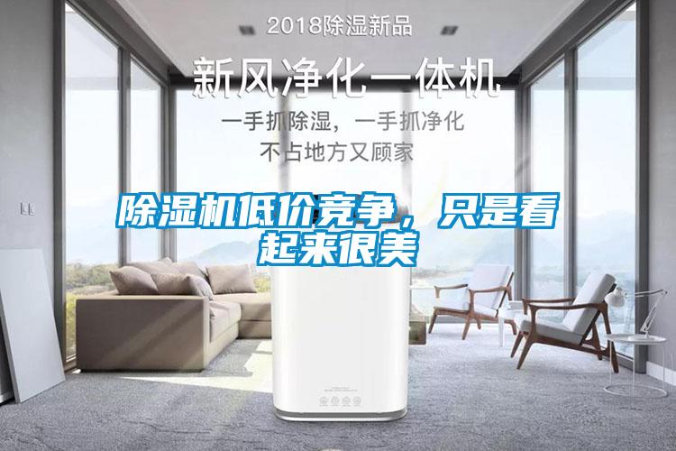 除濕機低價競爭，只是看起來很美