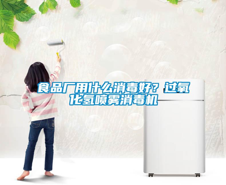 食品廠用什么消毒好？過氧化氫噴霧消毒機(jī)