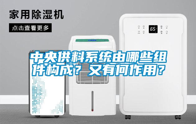 中央供料系統(tǒng)由哪些組件構成？又有何作用？