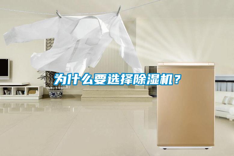 為什么要選擇除濕機(jī)？