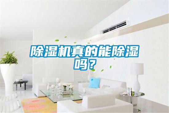 除濕機(jī)真的能除濕嗎？