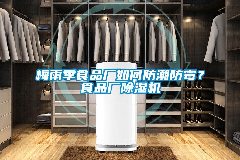 梅雨季食品廠如何防潮防霉？食品廠除濕機(jī)