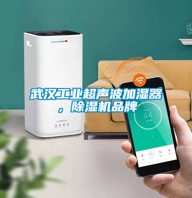 武漢工業(yè)超聲波加濕器，除濕機品牌