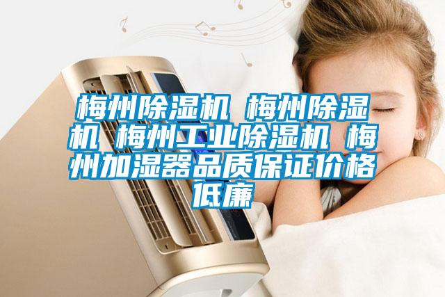 梅州除濕機☆梅州除濕機☆梅州工業(yè)除濕機☆梅州加濕器品質保證價格低廉