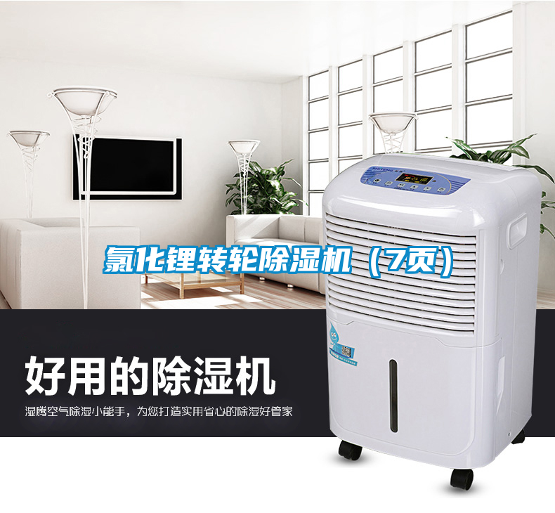 氯化鋰轉(zhuǎn)輪除濕機(jī)（7頁(yè)）
