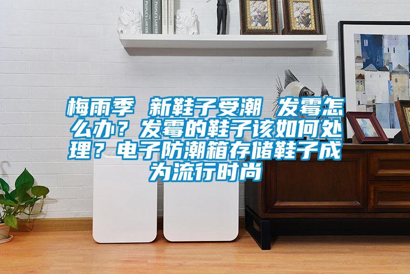 梅雨季 新鞋子受潮 發(fā)霉怎么辦？發(fā)霉的鞋子該如何處理？電子防潮箱存儲鞋子成為流行時尚