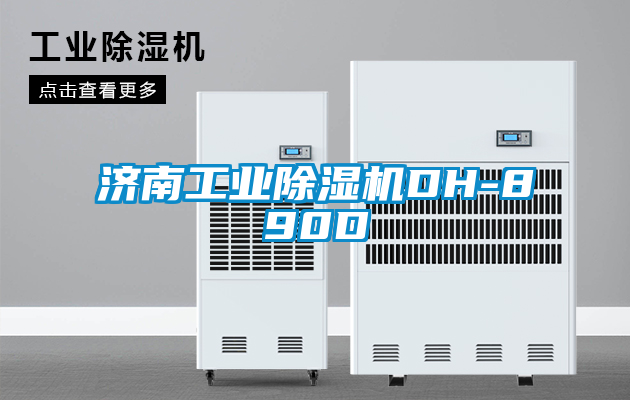 濟(jì)南工業(yè)除濕機(jī)DH-890D
