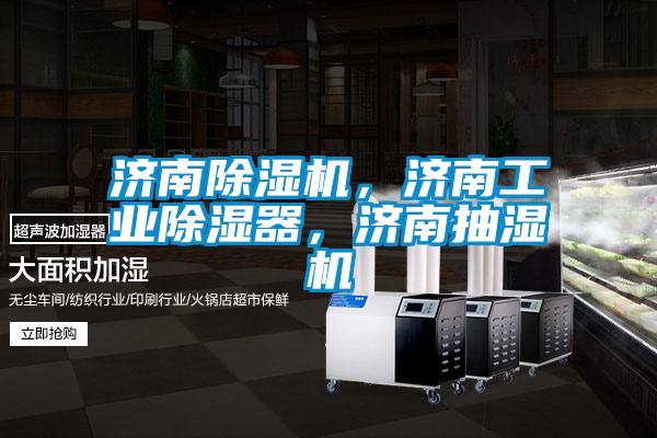 濟(jì)南除濕機(jī)，濟(jì)南工業(yè)除濕器，濟(jì)南抽濕機(jī)