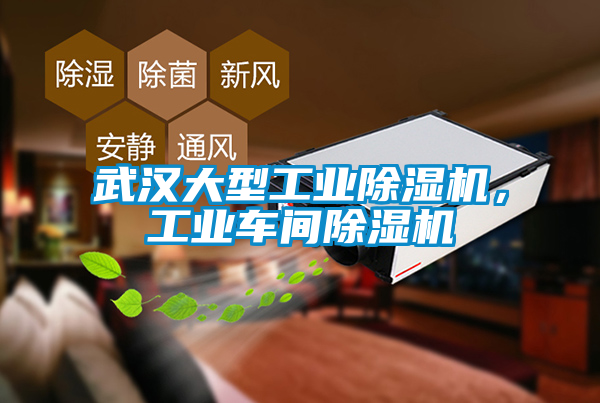 武漢大型工業(yè)除濕機(jī)，工業(yè)車間除濕機(jī)