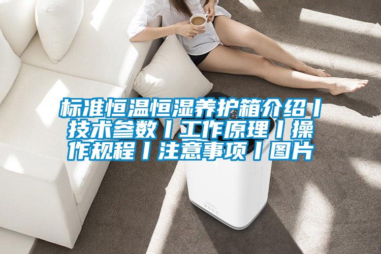 標準恒溫恒濕養(yǎng)護箱介紹丨技術參數(shù)丨工作原理丨操作規(guī)程丨注意事項丨圖片
