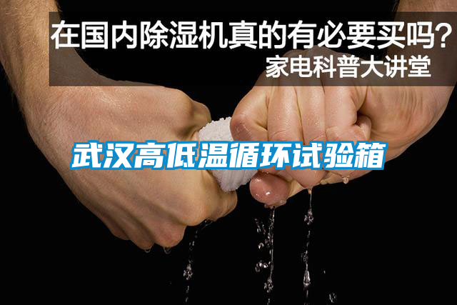 武漢高低溫循環(huán)試驗箱
