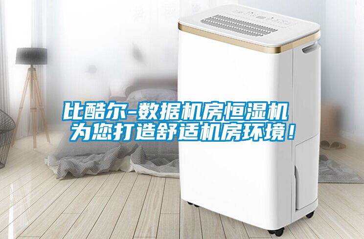 比酷爾-數(shù)據(jù)機(jī)房恒濕機(jī) 為您打造舒適機(jī)房環(huán)境！