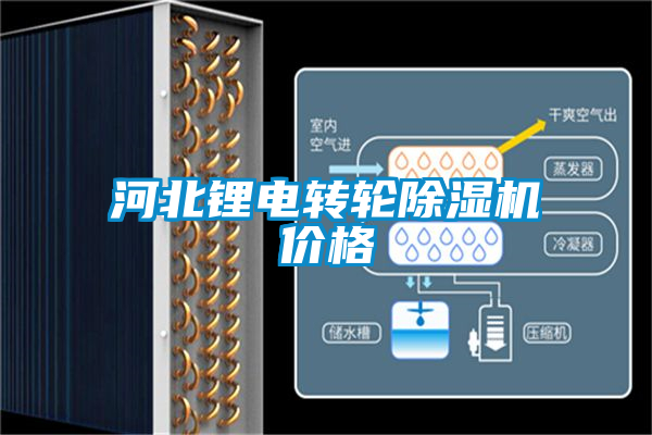 河北鋰電轉(zhuǎn)輪除濕機價格