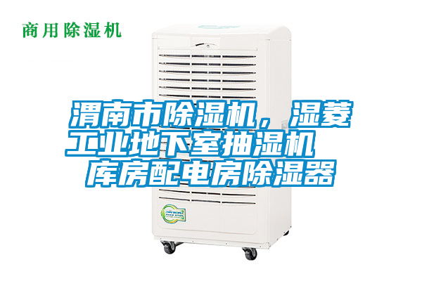 渭南市除濕機，濕菱工業(yè)地下室抽濕機  庫房配電房除濕器